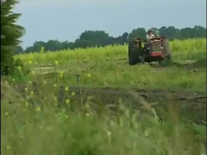 Esencialmente Dolli | El Gourmet (2003)