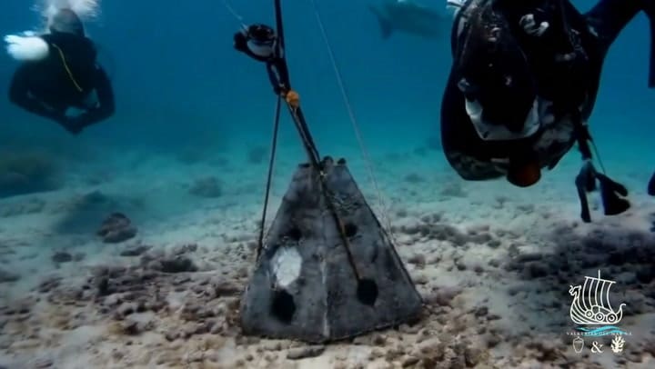 Qué es Valkyrias del Mar la empresa funeraria líder en el mundo en Santuarios de Arrecifes