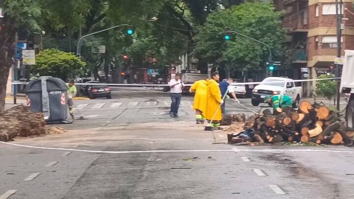 Consecuencias de la tormenta en CABA (autor: Camila Súnico)