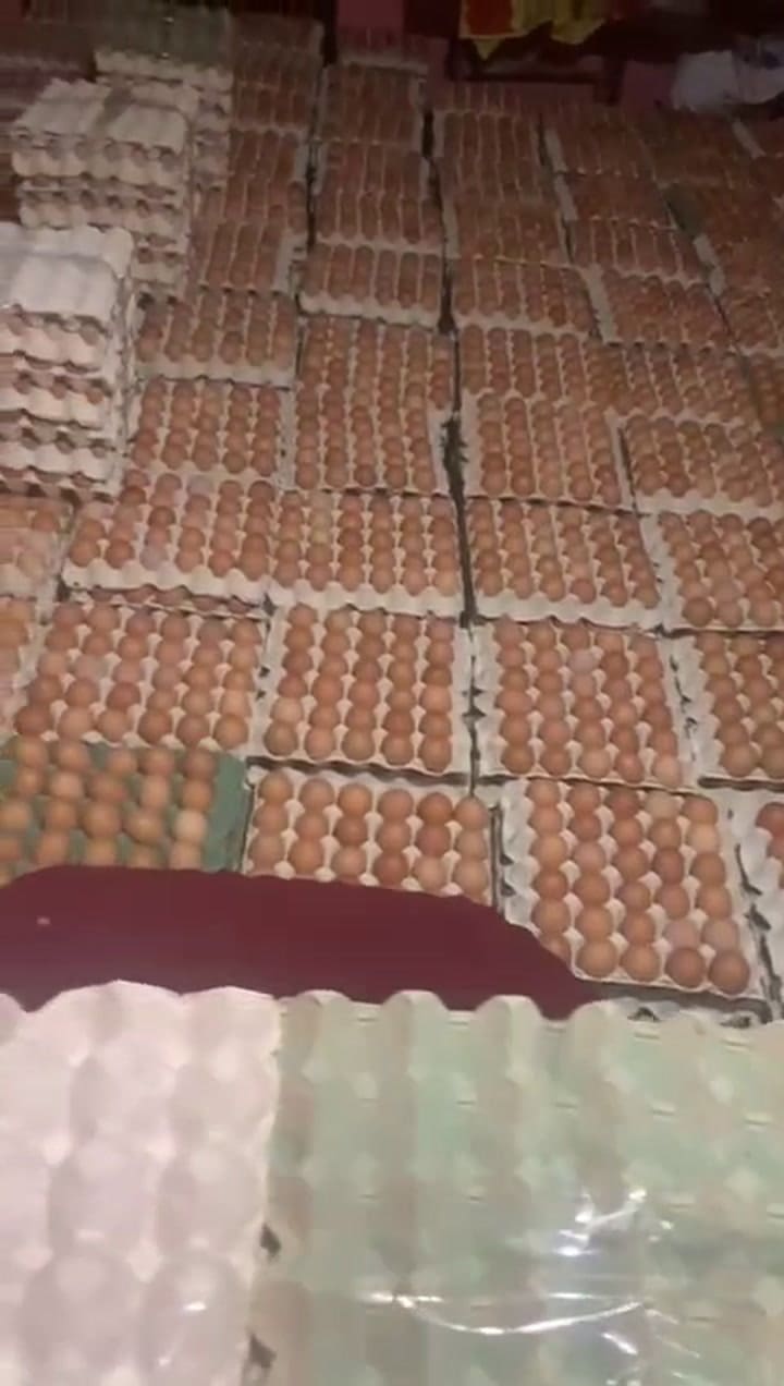 Contrabando de huevos
