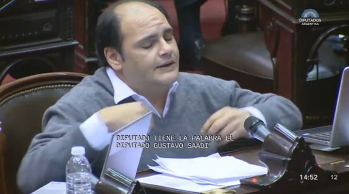 Debate por el aborto: Gustavo Saadi no definió cuál será su voto - Fuente: HCDN