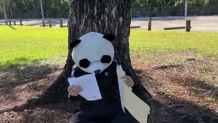 El video en español publicado por las autoridades de Miami