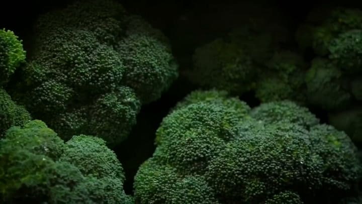 The Fresh Market tiene 40 años en el mercado estadounidense