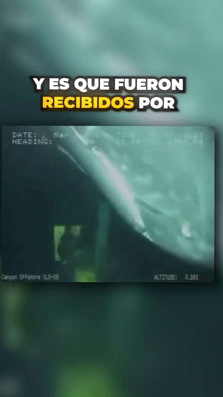 Científicos Reciben Un Visitante En Las Profundidades Marinas