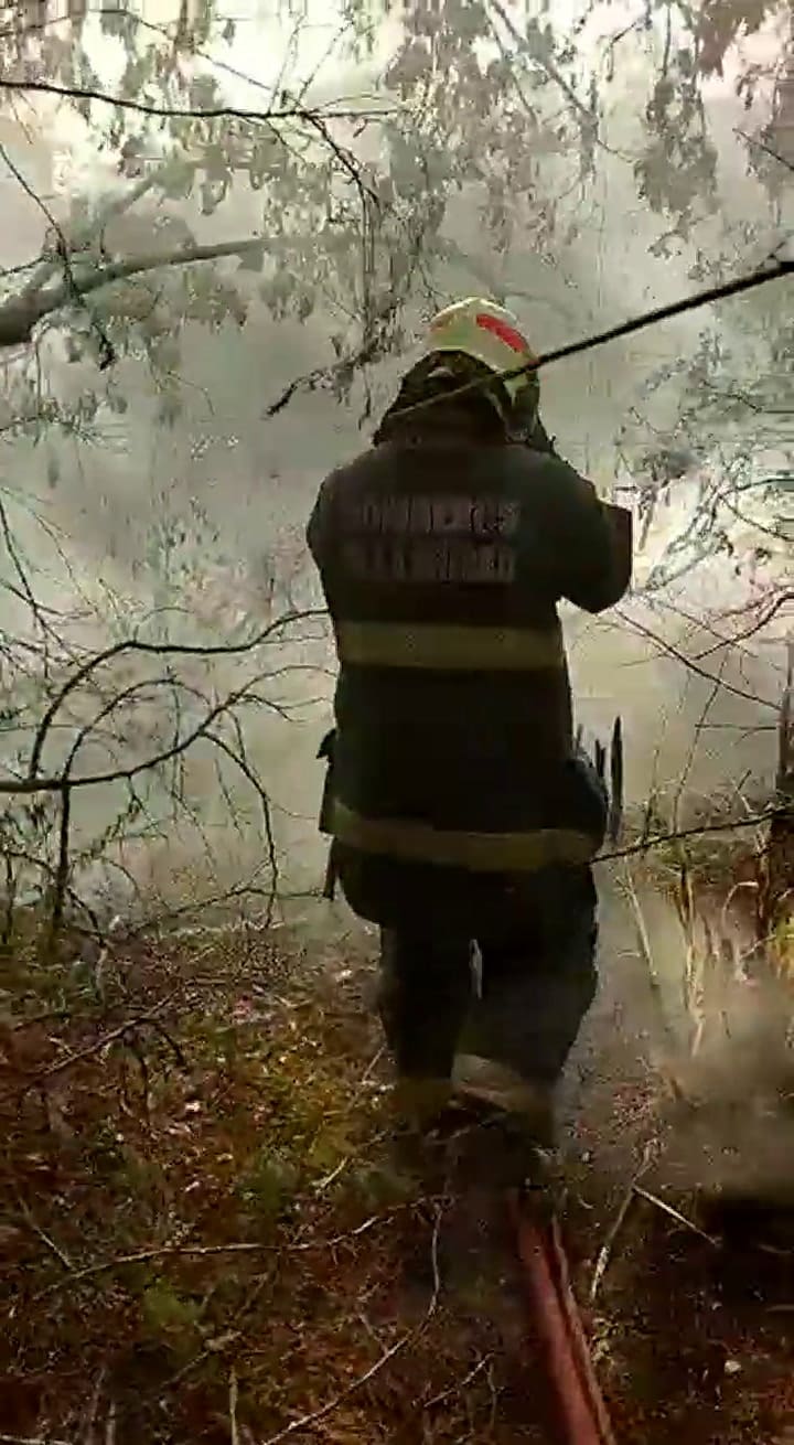 Bomberos combaten un incendio en la reserva ecológica