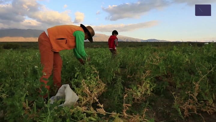 La historia de Ulises, el niño de 7 años que camina 6 kilómetros para llegar a la escuela