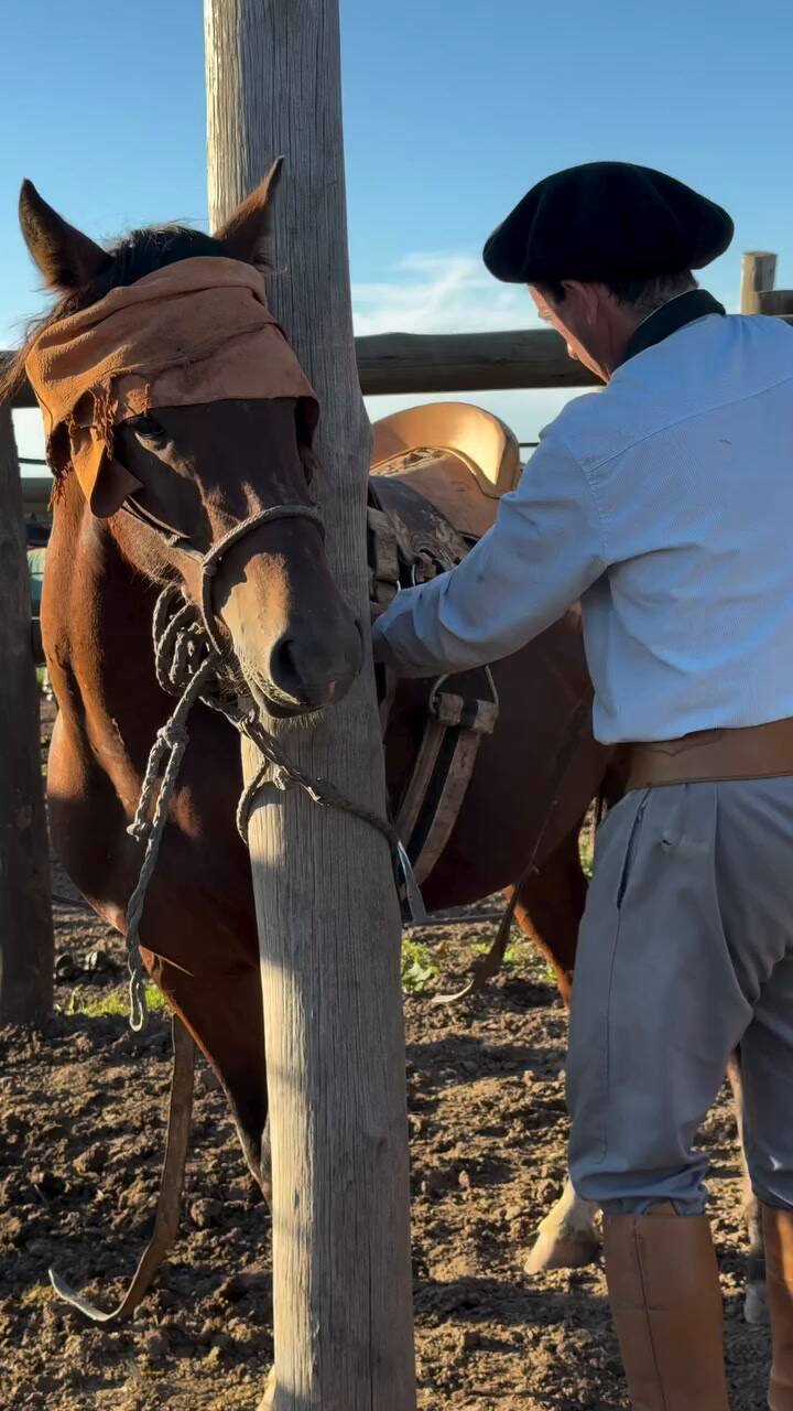 Unanue explica cada uno de los pasos que realiza