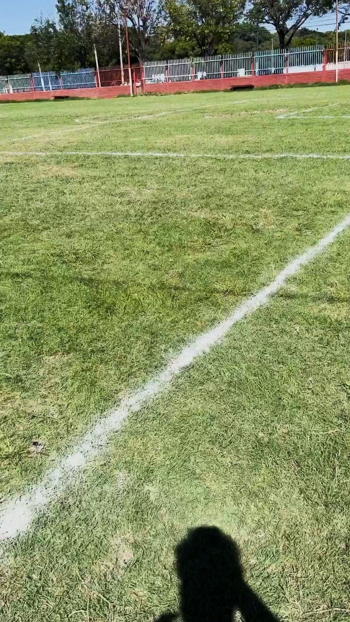 Miche Teaser 15s Final Hd 20mb