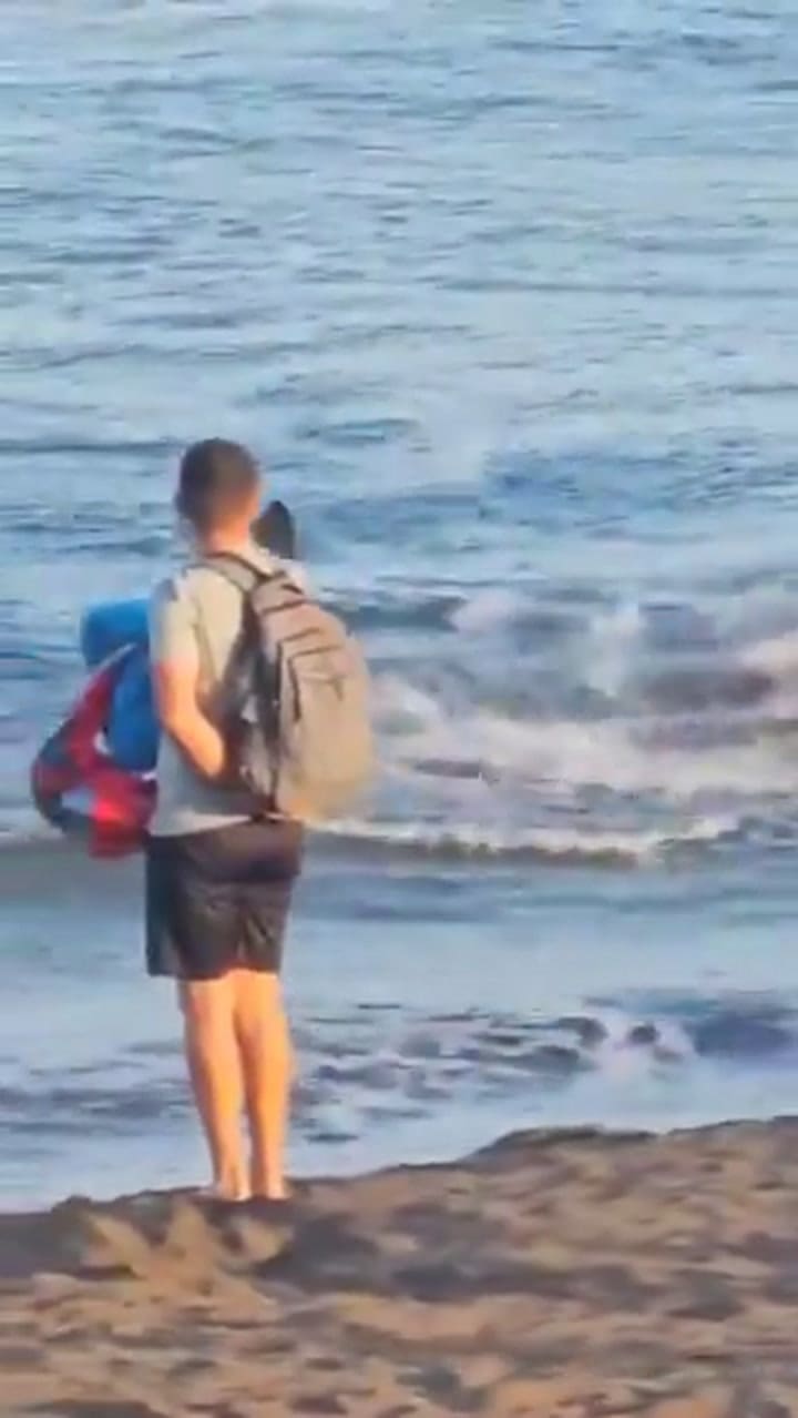 El avistaje de un tiburón que causó pánico en una playa de España