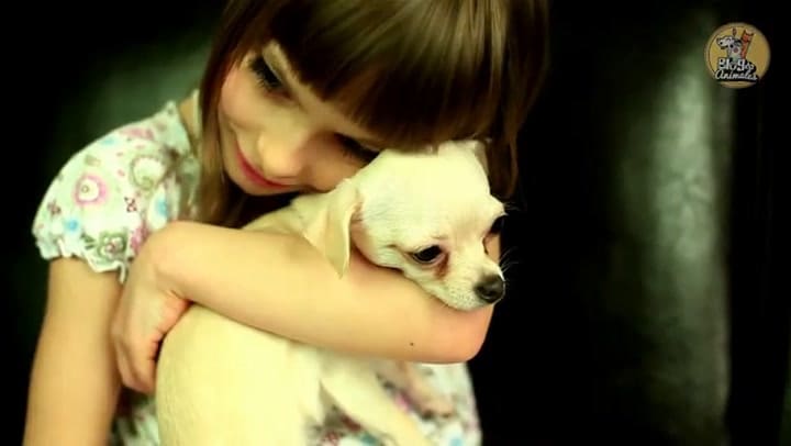 Qué cuidados debo tomar una vez que mi perra dio a luz