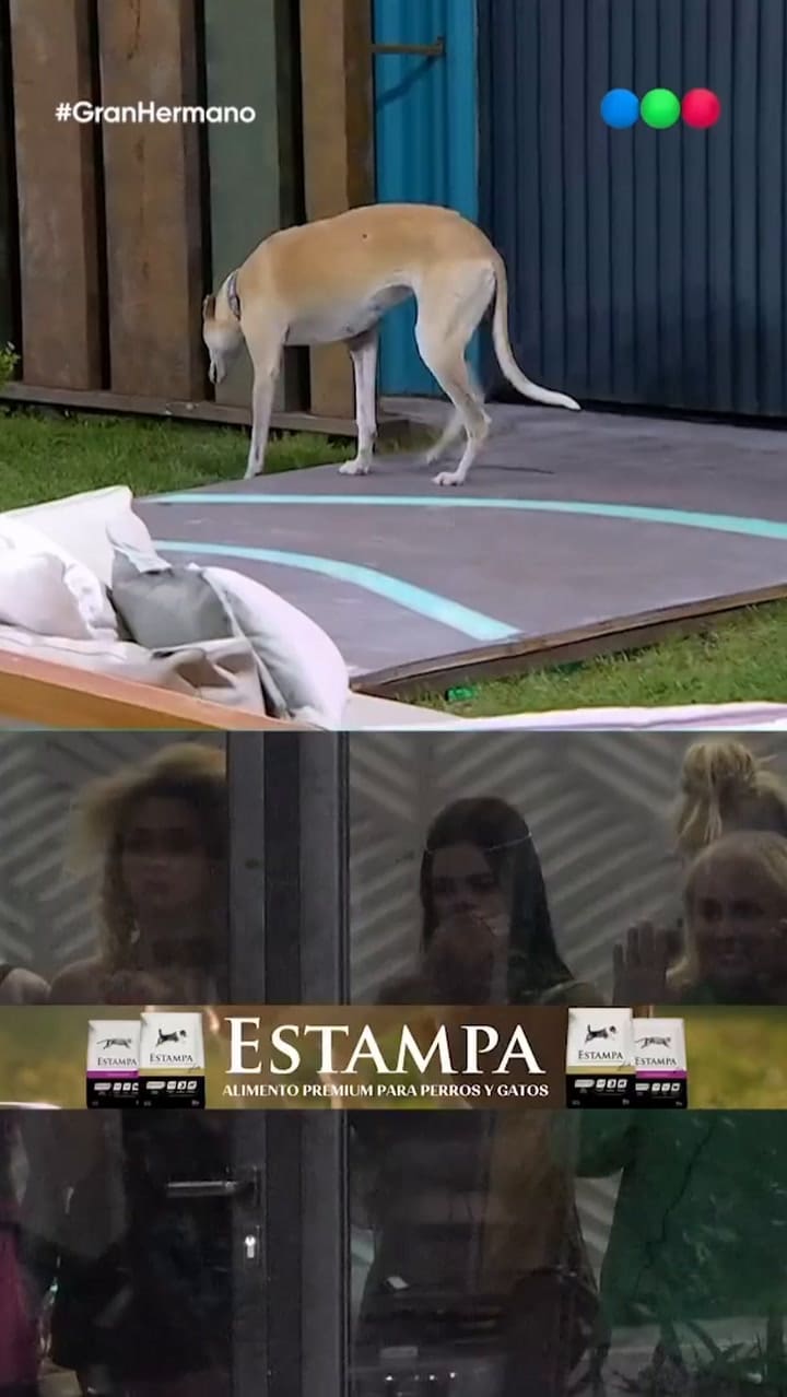 Así recibieron a Paris en Gran Hermano