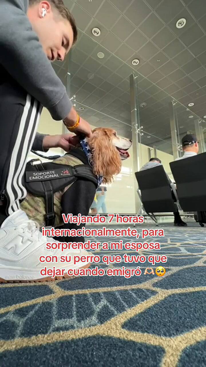 Un hombre de EE.UU. sorprendió a su esposa en el aeropuerto de Miami