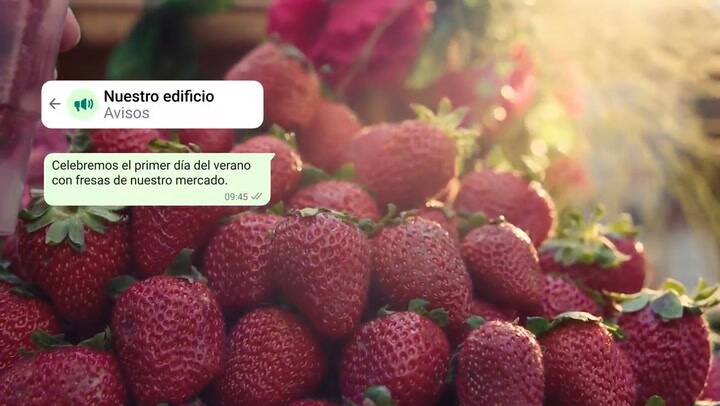 WhatsApp contará con la nueva función 'Comunidades', que unificará diversos grupos de usuarios