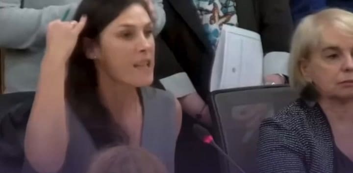 La diputada Pamela Calletti explotó contra Rodolfo Tailhade en el marco de una sesión que trataba el desafuero de Emiliano Estrada