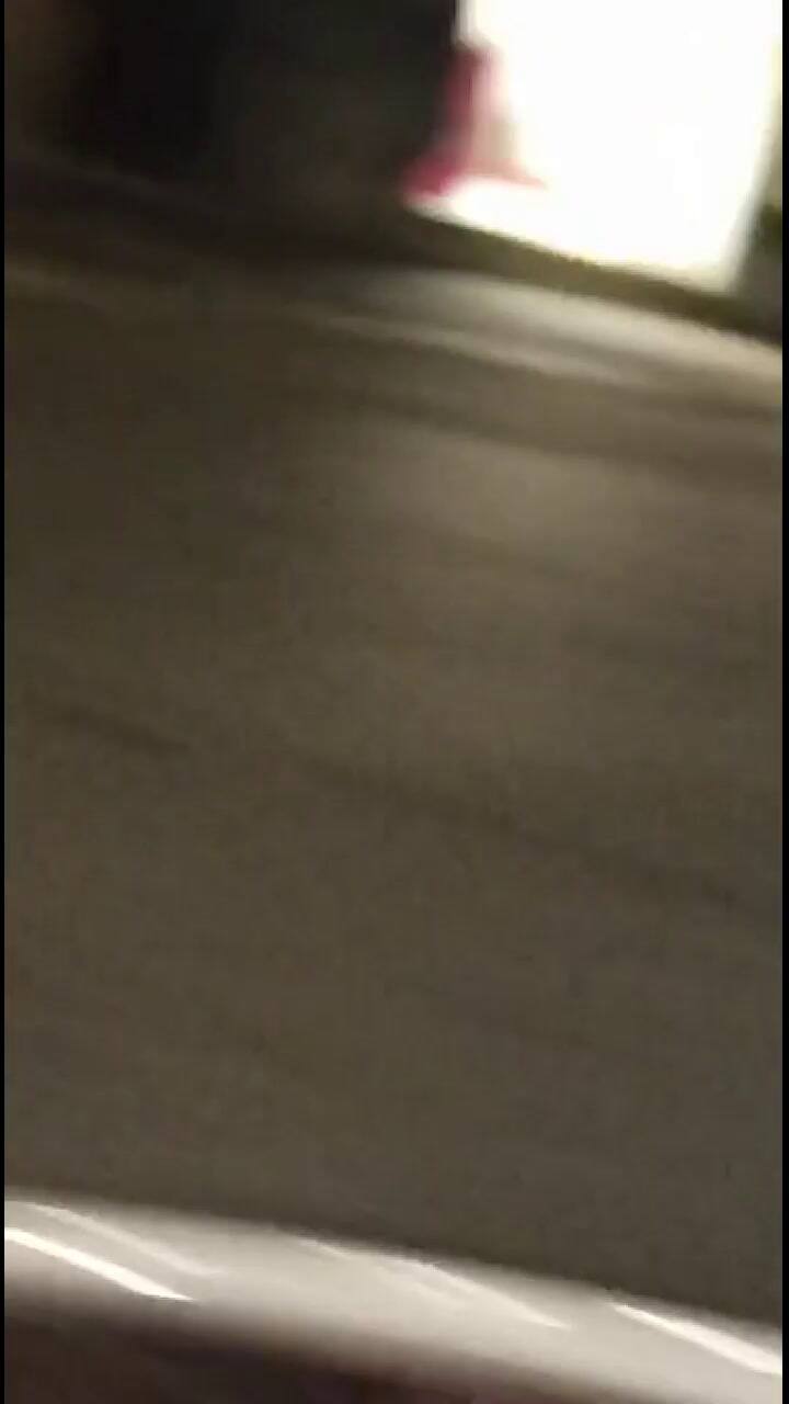 Roma amaneció con decenas de pájaros muertos en sus calles luego de show de fuegos artificiales