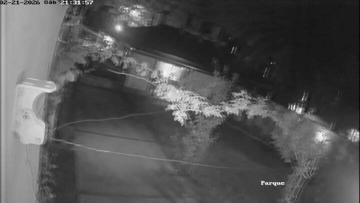 Los ladrones en el interior de la casa