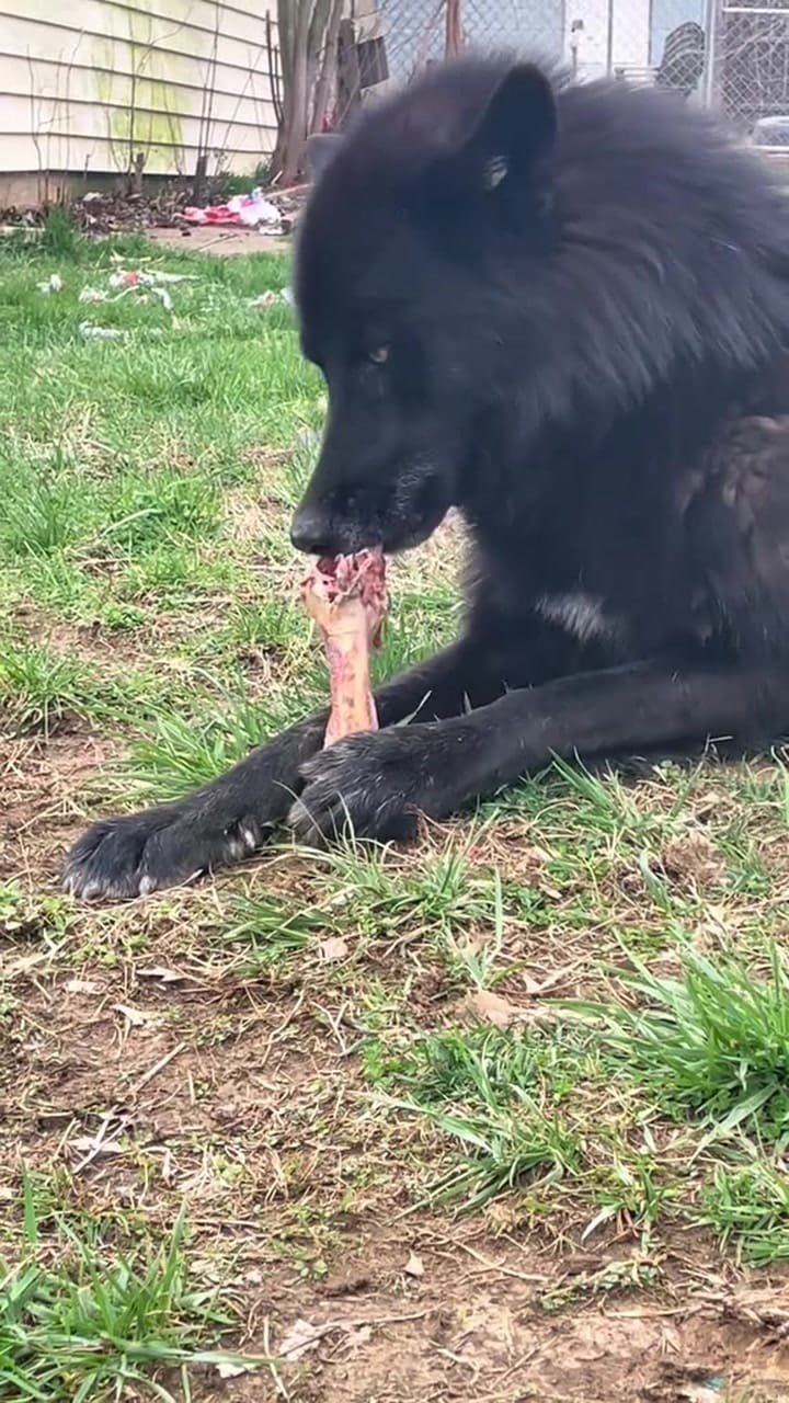 Ssstik.io 1745265845151