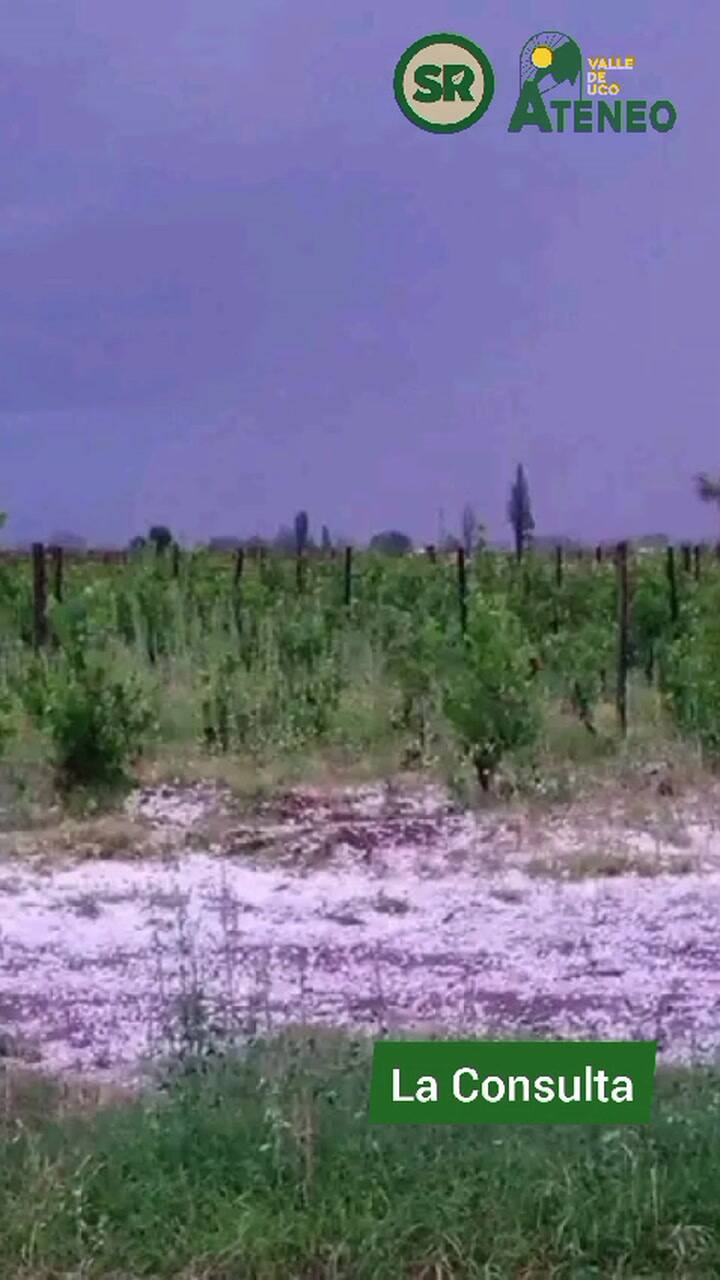 Los Daños De La Tormenta
