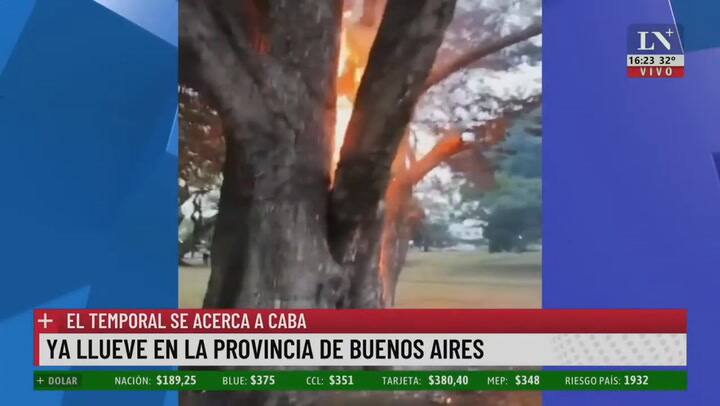 En Lincoln cayó un rayo en un árbol