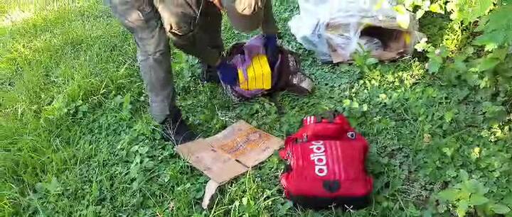 Whatsapp Video 2024-03-07 At 15.32.24