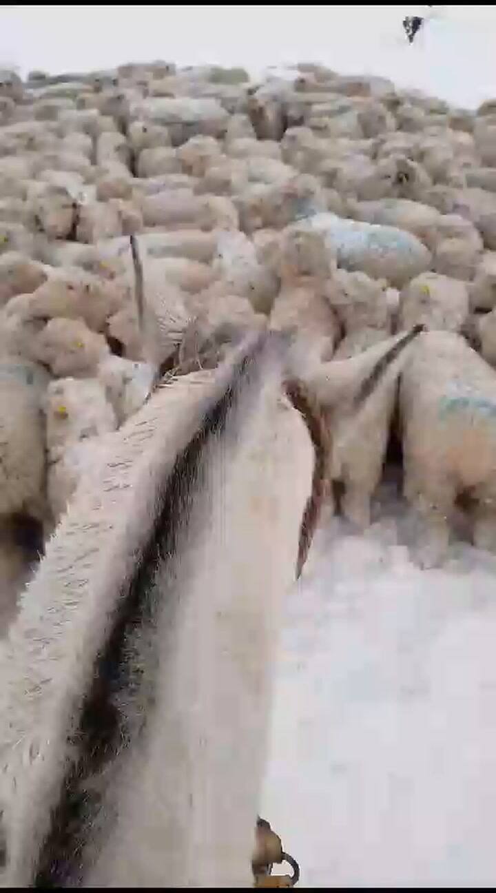 Nieve en la Patagonia