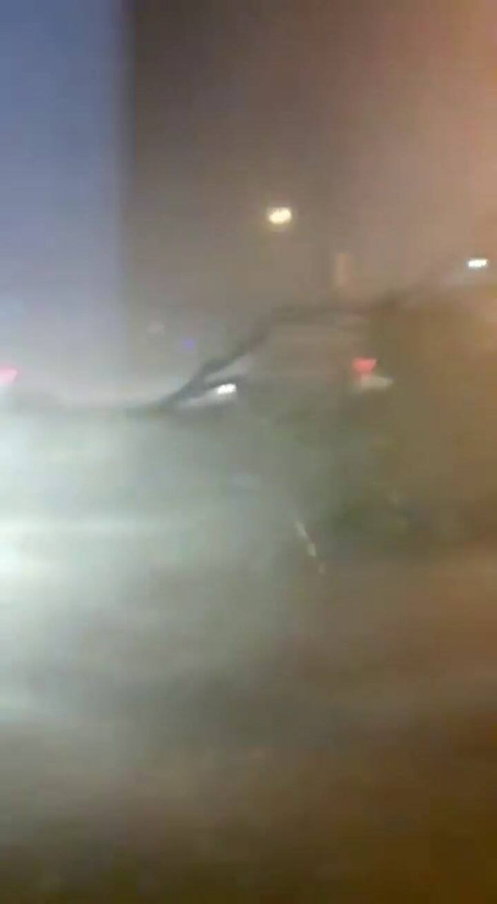 El momento en que los fuertes vientos derriban un árbol en Corrientes - Fuente: Twitter