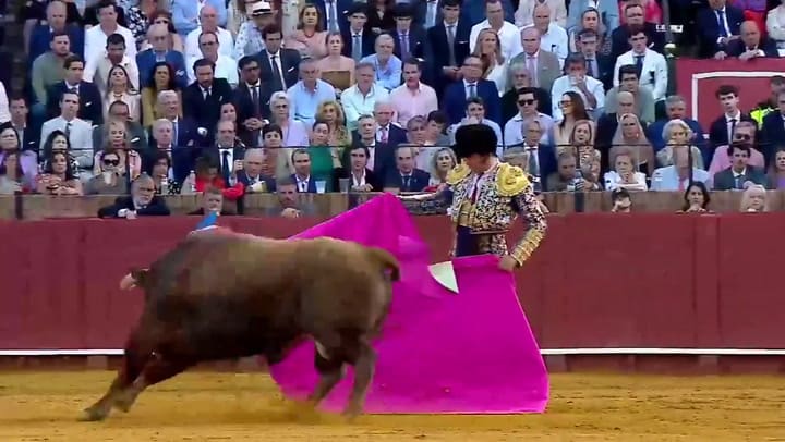 Torero malherido