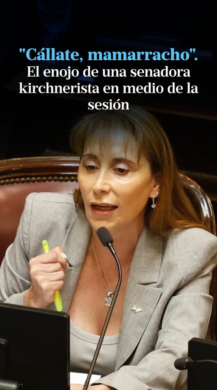 El enojo de una senadora kirchnerista en medio de la sesión: "Callate, mamarracho"