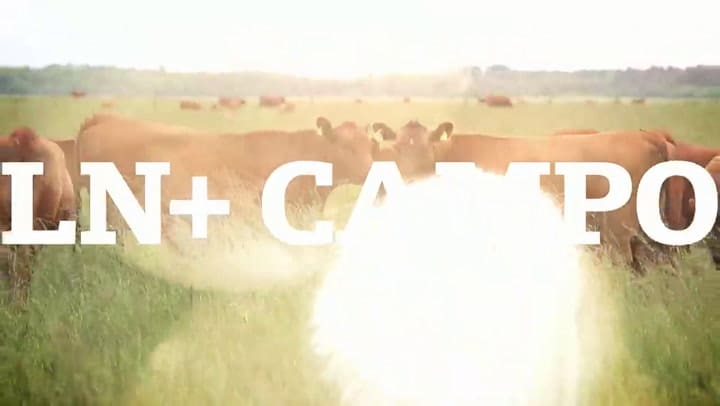 Por que decimos... Daireaux - La tercera es la vencida