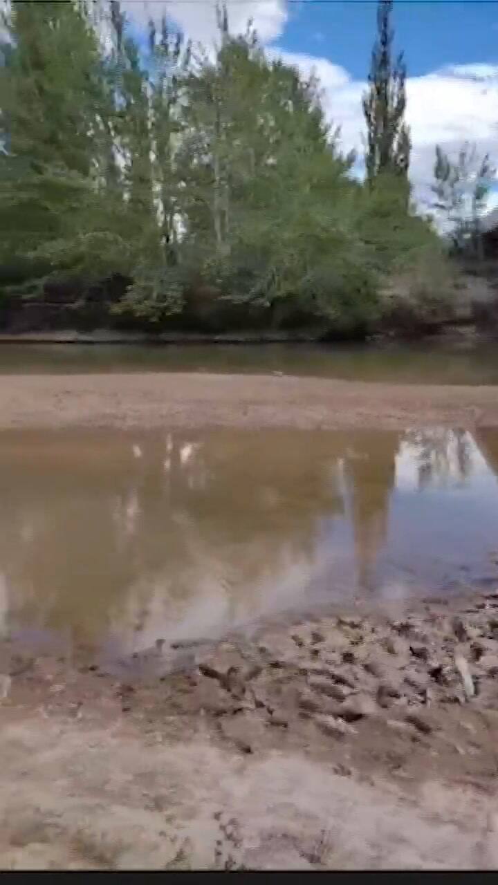 Así está el río Chubut