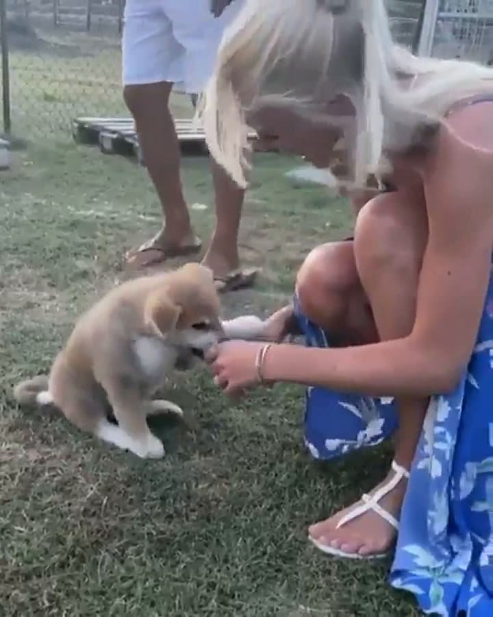 Maxi López y su novia adoptaron un perrito akita