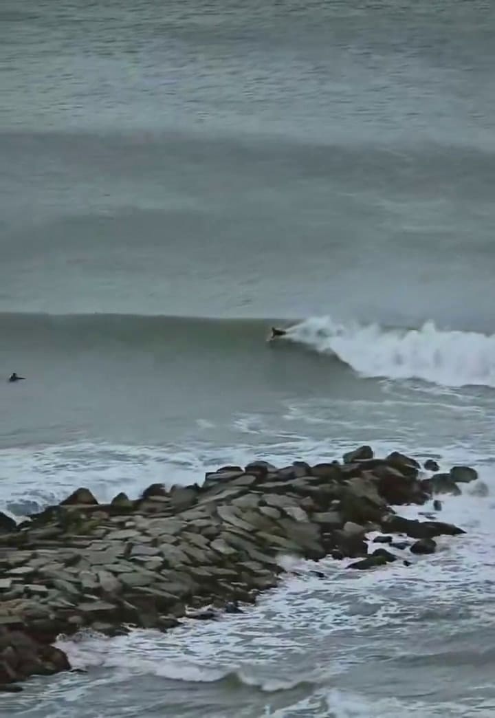 Surfistas en Mar del Plata