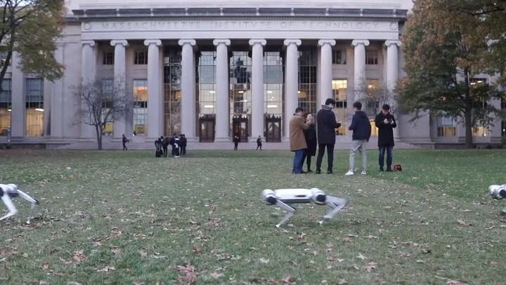 Así se mueven los robots Mini Cheetah del MIT - Fuente: YouTube