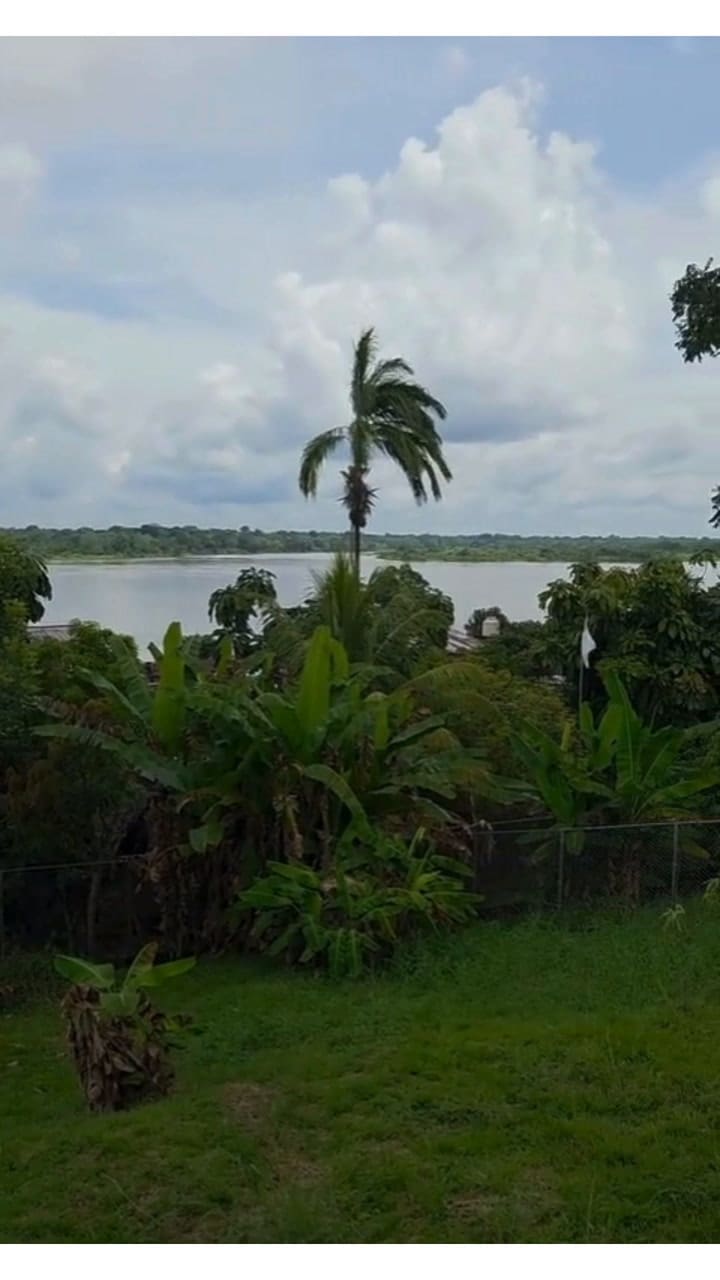 Los dos arquitectos argentinos elegidos por Francisco que construyen en el Amazonas