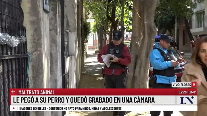 Brutal maltrato animal en Flores: le pegó a su perro y quedó grabado