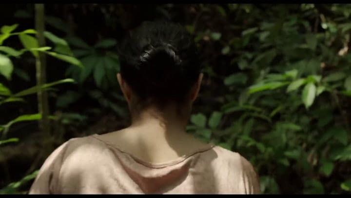 Trailer de Oscuro Animal