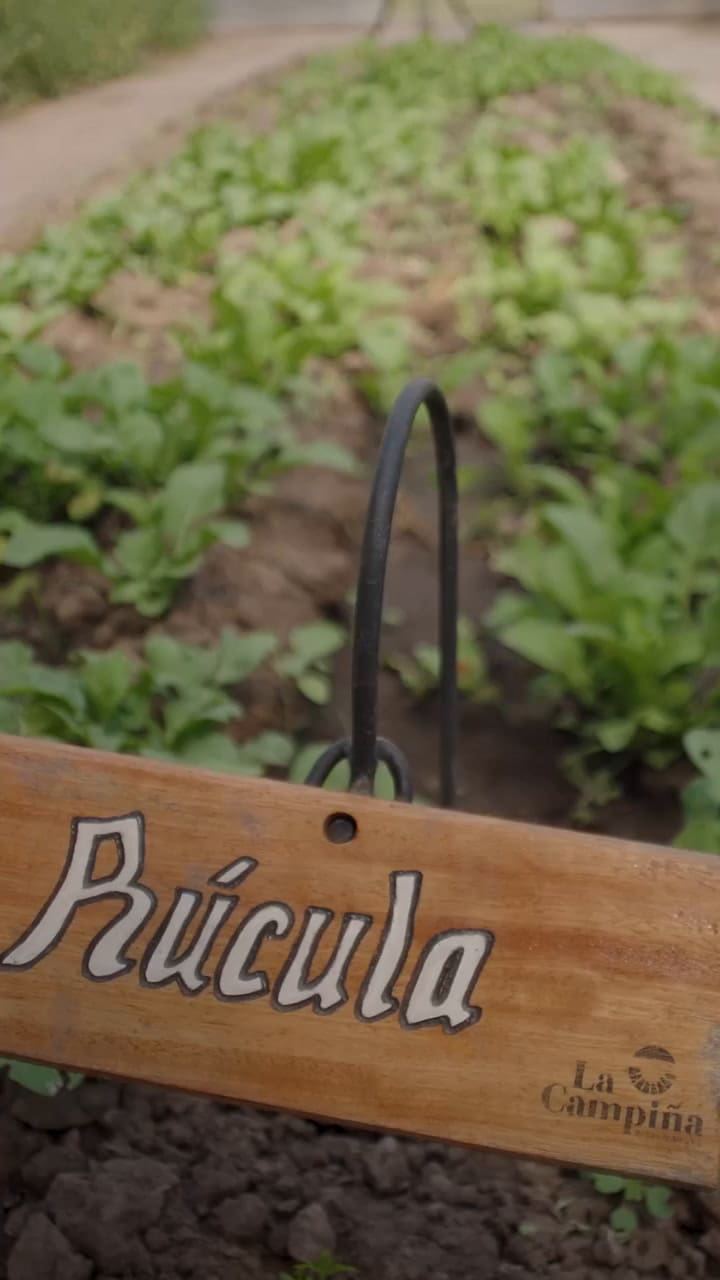 La Campiña de Mónica y César, la pareja más famosa del noticiero: el plan ideal para desconectar de la rutina con una experiencia rural