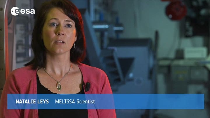 Espirulina Azul - El milagro proteico