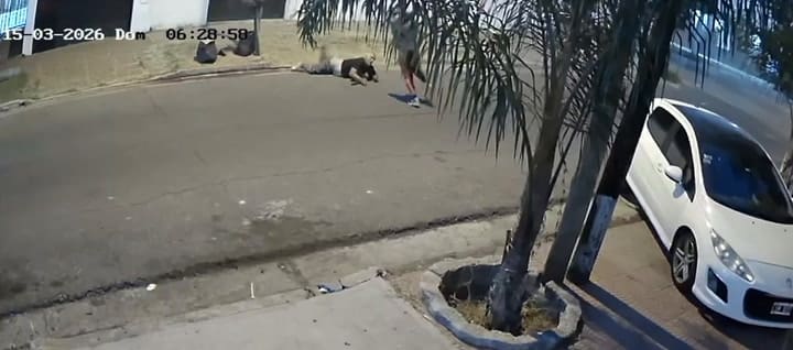 Mataron a sangre fría a un remisero