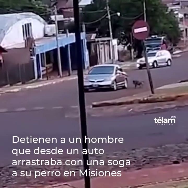 Misiones: detienen a un hombre que desde un auto arrastraba con una soga a su perro
