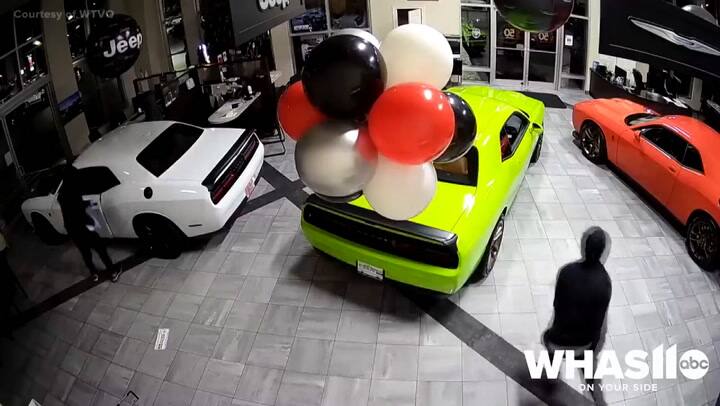 Ladrones roban autos de lujo en un concesionario de Estados Unidos en menos de un minuto