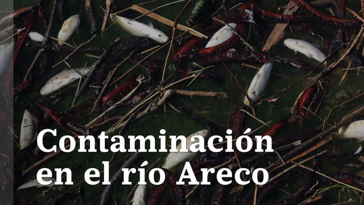 Contaminación en el Río Areco