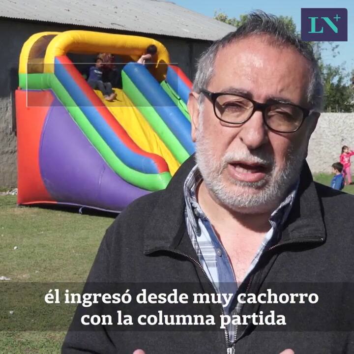 Perros que ayudan a generar habilidades emocionales