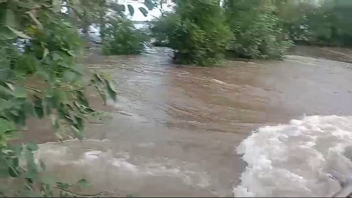 Whatsapp Video 2024-03-17 At 13.24.59