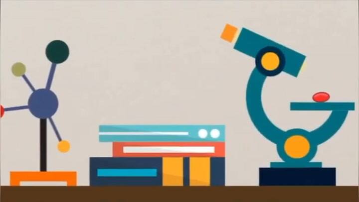 Que es la fruta milagrosa