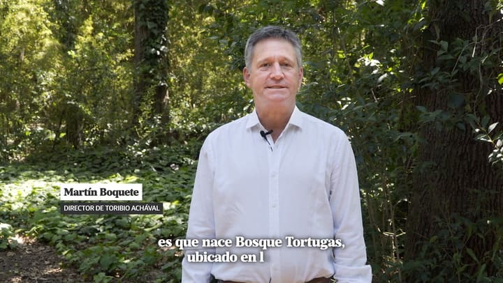 Toribio Bosque Tortugas
