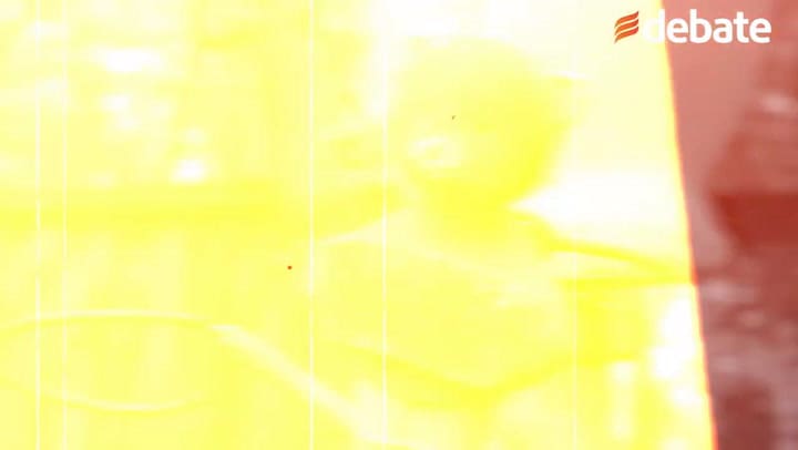 Chernobyl y sus perros salvajes: el desafiante hallazgo que los científicos no esperaban encontrar