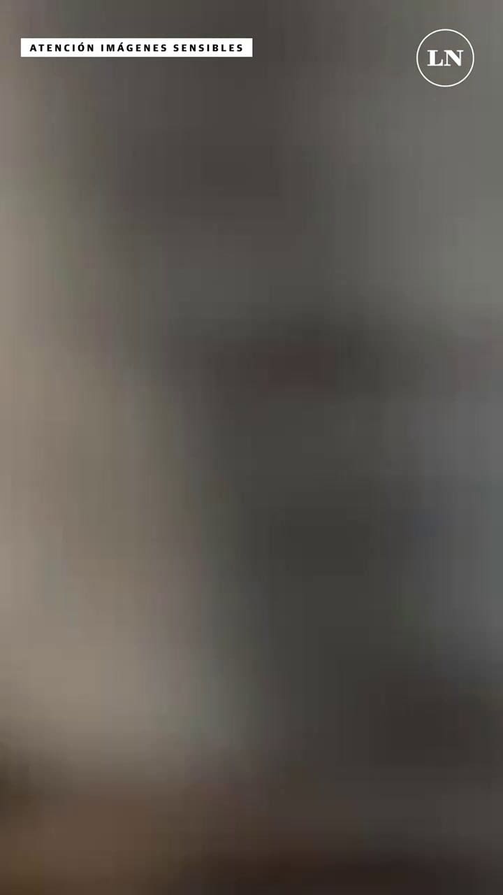 Un hombre atacó con un cuchillo a cuatro niños en un parque de Francia