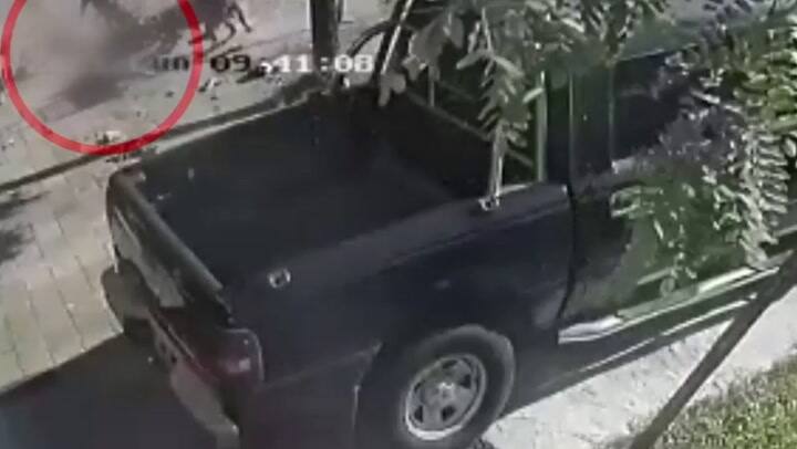 Brutal ataque de tres perros a un hombre