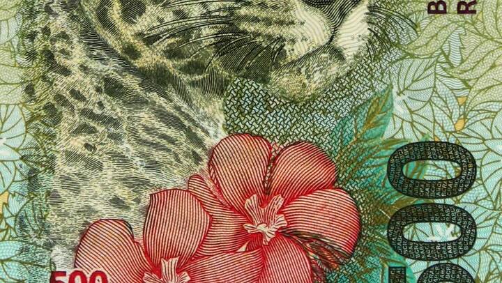 Billete 500 pesos, características